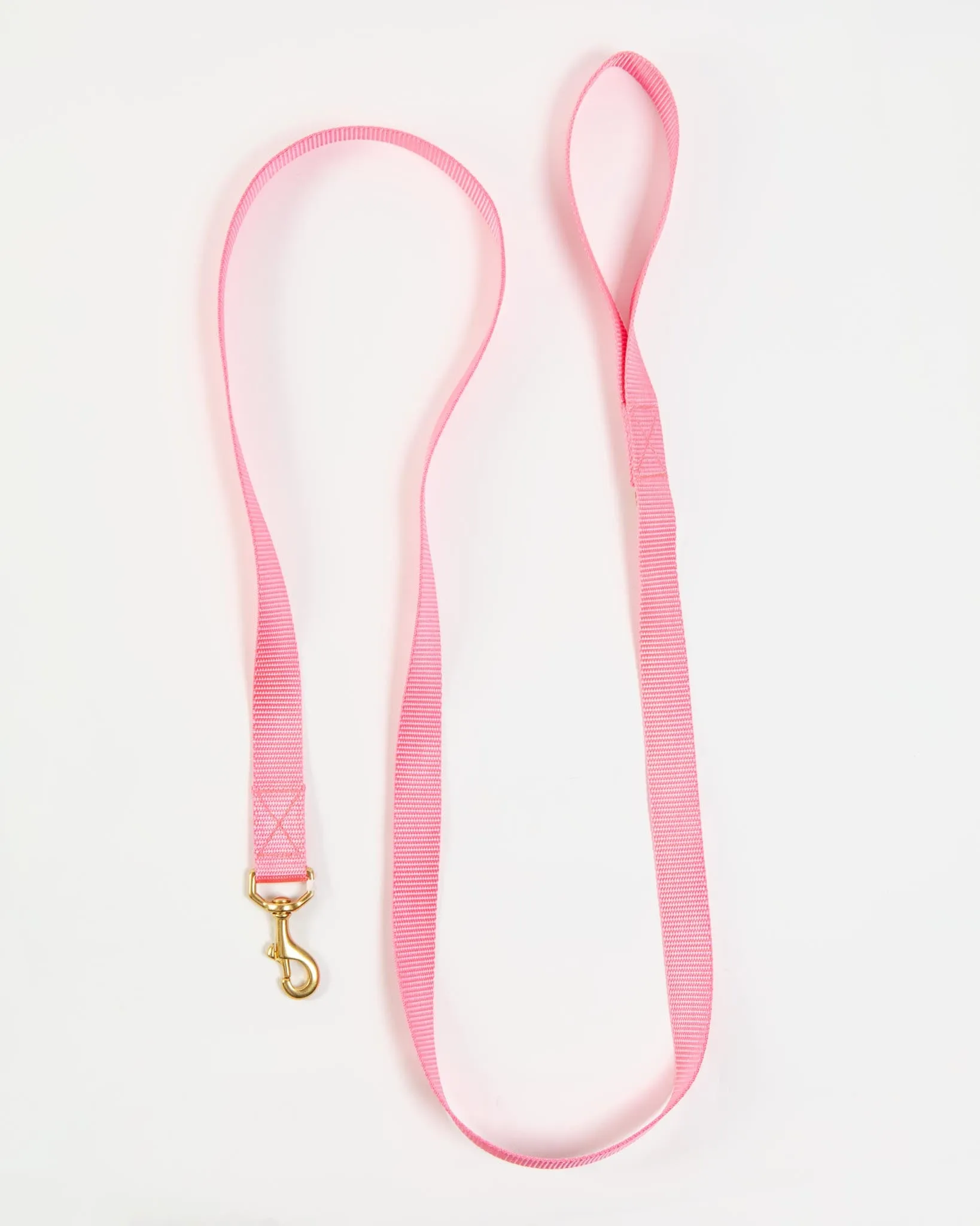 Basic Nylon Dog Leash in Pink (Made in the USA)