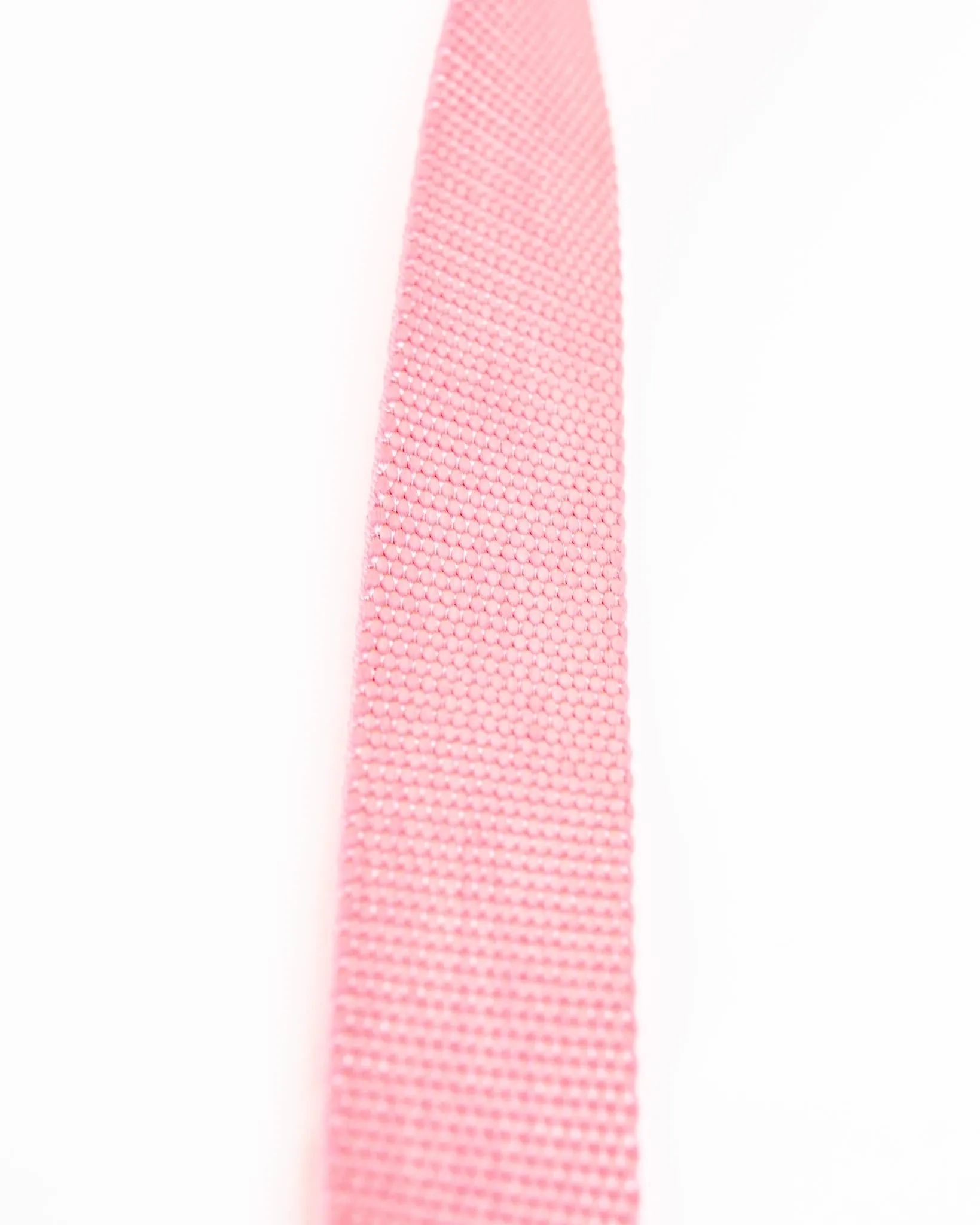 Basic Nylon Dog Leash in Pink (Made in the USA)