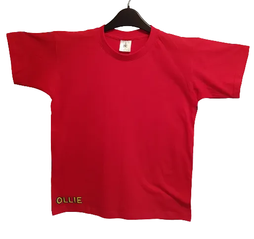 I HAVE SUPER POWERS Red T-shirt
